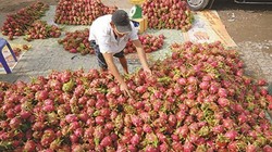 Áp lực lớn cho chính sách tiền tệ Việt Nam trong mùa dịch