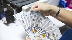 GDP tăng mà dịch bệnh lan nhanh, hành tinh này sẽ phải tự điều chỉnh và con người sẽ phải trả giá. Ảnh minh họa Thành Hoa.