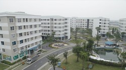 Đà Nẵng xử lý nghiêm các hành vi mua nhà ở xã hội sai quy định