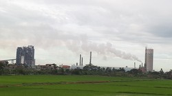 Đạm Ninh Bình lỗ đậm 5.000 tỷ, chết dở với đối tác Trung Quốc 