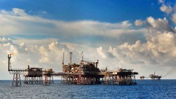  Doanh nghiệp xăng, dầu lao đao vì giá xuống đáy 