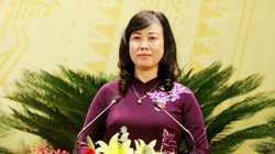 Bà Đào Hồng Lan sẽ được luân chuyển về Bộ Y tế.