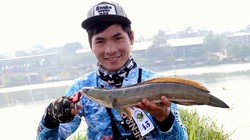 Câu được cá lóc