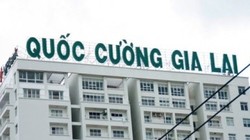 Quốc Cường Gia Lai lãi 48 tỷ đồng trong nửa đầu năm 2020 (Nguồn: QCG)