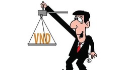 Hiểu thế nào về “chủ ý hạ thấp giá trị tiền đồng”?