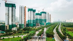 Ảnh minh hoạ (Nguồn: Internet)