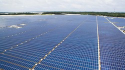 Ảnh minh hoạ (Nguồn: Internet)