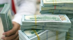 Hàm ý gì đằng sau việc điều chỉnh phương án mua ngoại tệ của Ngân hàng Nhà nước?