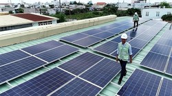 Thủ tướng Chính phủ: ‘Không phát triển ồ ạt điện mặt trời’