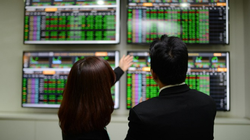 Nhà đầu tư cá nhân trong nước tiếp tục đổ xô vào chứng khoán (Nguồn: Internet)