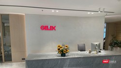 Nhóm cổ đông liên quan tới CEO Nguyễn Văn Tuấn đang nắm giữ tổng cộng 34,09% vốn điều lệ Gelex.