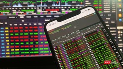 Tính đến ngày 31/7/2021, số lượng tài khoản giao dịch chứng khoán của nhà đầu tư trong nước và nước ngoài đạt gần 3,5 triệu tài khoản