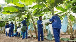 HNG chốt làm dự án 750 triệu USD ở Lào