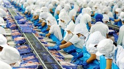 Vĩnh Hoàn (VHC) đặt kế hoạch lợi nhuận năm 2021 giảm 2,6% so với cùng kỳ