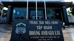 Chăn nuôi heo tiếp tục mang về cho HAG gần 183 tỉ đồng doanh thu trong quý 3/2021 (Ảnh: Internet)