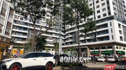 Dự án Khu phức hợp Monarchy Block B của Nhà Đà Nẵng (NDN)