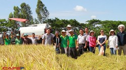 Lộc Trời: Đằng sau sự chấm dứt với Syngenta và mô hình nhà máy 1 triệu ha sản xuất ‘Just in time’