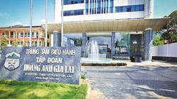 Lộ diện 3 nhà đầu tư sắp chi 1.300 tỉ đồng mua cổ phiếu HAG