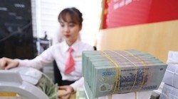 NHNN hút ròng 100.000 tỉ đồng qua kênh tín phiếu và bán ngoại tệ
