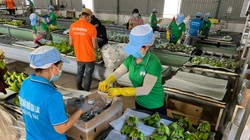 Bầu Đức và chiến lược đưa Hoàng Anh Gia Lai 'trở lại'