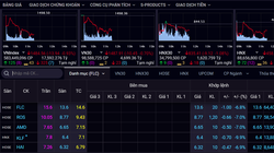 Cổ phiếu FLC lại ‘trắng bên mua’