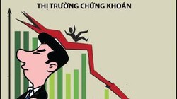 Thao túng chứng khoán, tâm lý đánh bạc và giám sát lơ là