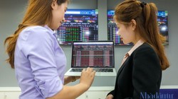 EVS là một trong 5 công ty chứng khoán có hiệu quả sử dụng vốn cao nhất thị trường. Ảnh: Trọng Hiếu.