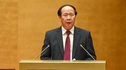 Phó Thủ tướng Lê Văn Thành (Ảnh: VGP)