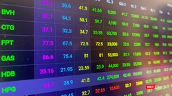 Quỹ ETFs cơ cấu danh mục quý 2/2022 ra sao?