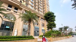 Tân Hoàng Minh gom được 2.100 tỉ đồng, nhưng chưa thể hoàn tiền cho nhà đầu tư