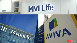 Bán bảo hiểm cho diễn viên Ngọc Lan, MVI Life làm ăn ra sao?