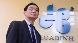 Ông Lê Viết Hải - Chủ tịch HĐQT Tập đoàn Xây dựng Hòa Bình