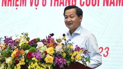 Phó Thủ tướng Lê Minh Khái (Ảnh: VGP)