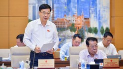 Chủ nhiệm Ủy ban Kinh tế của Quốc hội Vũ Hồng Thanh (Ảnh: quochoi.vn)