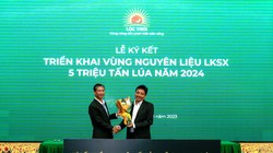 LTG 'bắt tay' loạt đối tác triển khai vùng nguyên liệu 300.000ha sản xuất 5 triệu tấn lúa năm 2024