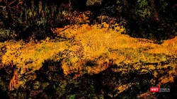 Tranh sơn mài "Hoàng hôn" của Hiền Nguyễn 