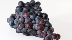 Có tới 7 tác động diệu kỳ từ trái nho tưởng vô cùng giản dị 