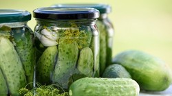 Đừng coi thường trái dưa chuột giản dị