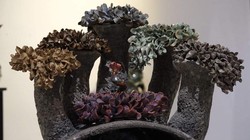 Tác phẩm gốm "Những đóa hoa nảy mầm" của họa sĩ Nguyễn Thị Dũng 