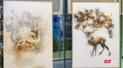 Tác phẩm của Trung Nghĩa với chủ đề thiên nhiên, môi trường có sức cuốn hút đặc biệt 