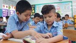 Học sinh Trường Tiểu học Triệu Thị Trinh, quận 10 trong một tiết học. Ảnh: Nguyễn Quyên