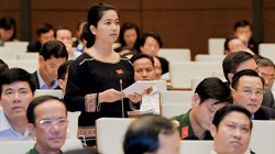 “Phát ngôn gây “bão” của ĐBQH Ksor Phước Hà, cho rằng cao su độc, hút O2, nhả CO2 (Ảnh: QHVN)