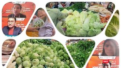 Thúc đẩy việc đưa nông sản thực phẩm tới tay người dân TP.HCM. 