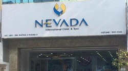 Nevada bị xử phạt 50 triệu đồng
