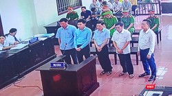 Hình ảnh các bị cáo tại phiên phúc thẩm sáng 12/6.