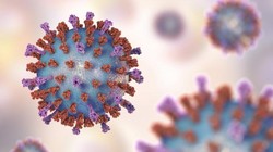 Ảnh minh họa virus RSV lây lan nhanh, thường xuyên gây bệnh cho trẻ nhỏ.