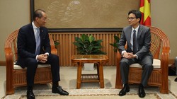 Ông Takeshi Kasai và Phó Thủ tướng Vũ Đức Đam (Ảnh: VGP)