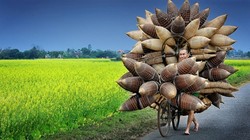 Người đàn ông đang chở những chiếc đó/giỏ tre đi bán ở Hưng Yên, Việt Nam của tác giả Lý Hoàng Long. Ảnh: TPOTY/Ly Hoang Long