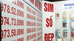 Sim 'siêu đẹp' 9 con 8 sẽ được đấu giá