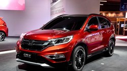  Các mẫu xe ăn khách cúa Honda bị triệu hồi. Ảnh minh họa: Internet